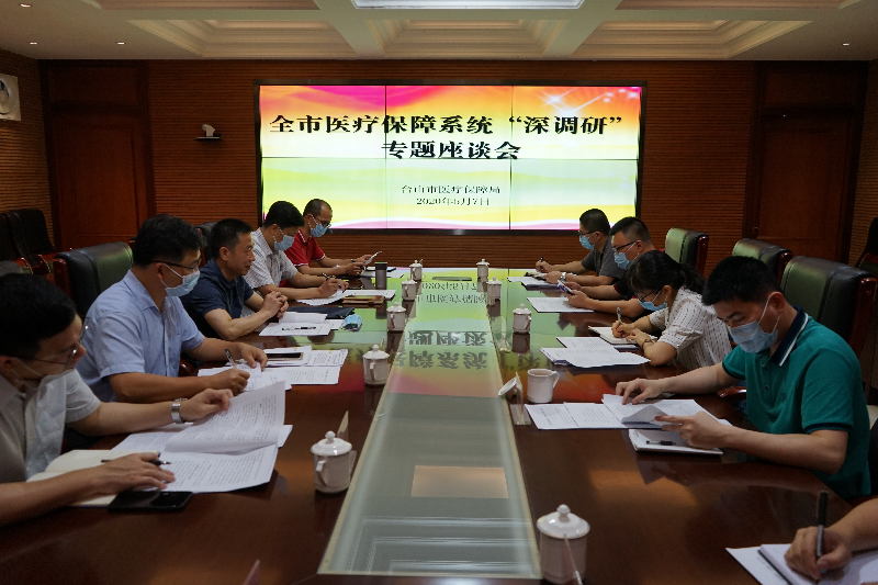 台山市医疗保障局会议室调研座谈会现场.JPG