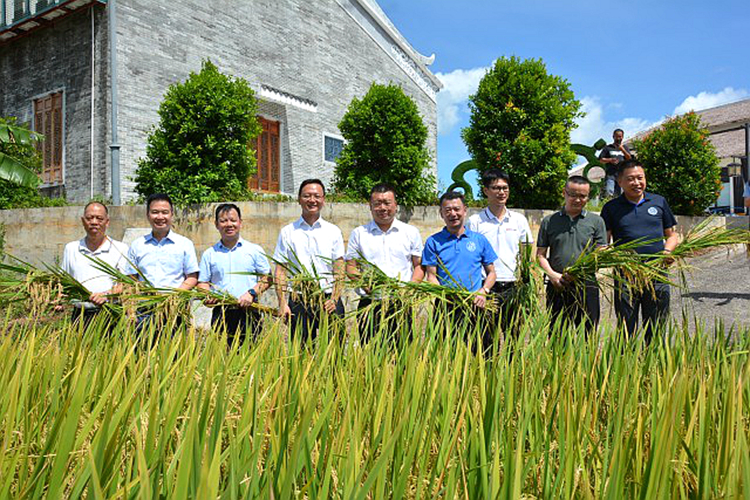 202006281735185z9L_副本.jpg