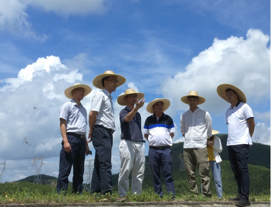 江门水利局吴坚平科长率评估组到我市开展小型水利工程管理体制改革成果现场评估工作846.png