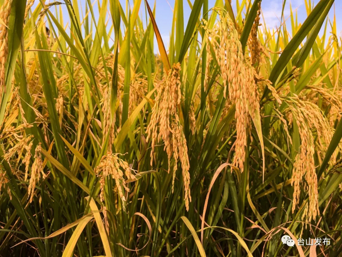 640.webp (1)_副本.jpg