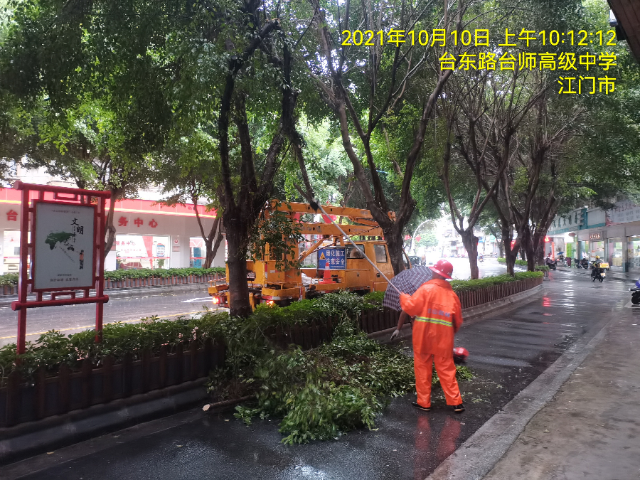 10.10台东路处理断枝.jpg