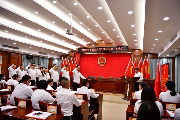 当选人与代表资格审查委员会成员进行宪法宣誓.JPG