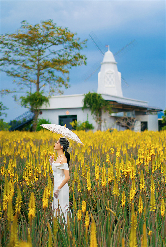 7 模特:台山市文化广电旅游体育局 许洁英.jpg