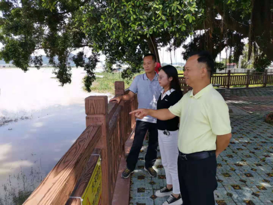 市水利局开展汛期堤防工程专项检查行动445.png