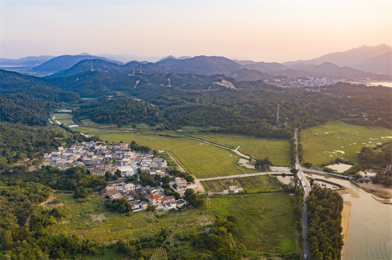 沙堤米湾村2020.jpg