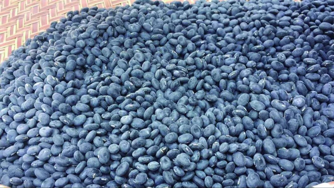 粒大饱满的台山黑豆（图片选自《台山名优特产》）.jpg