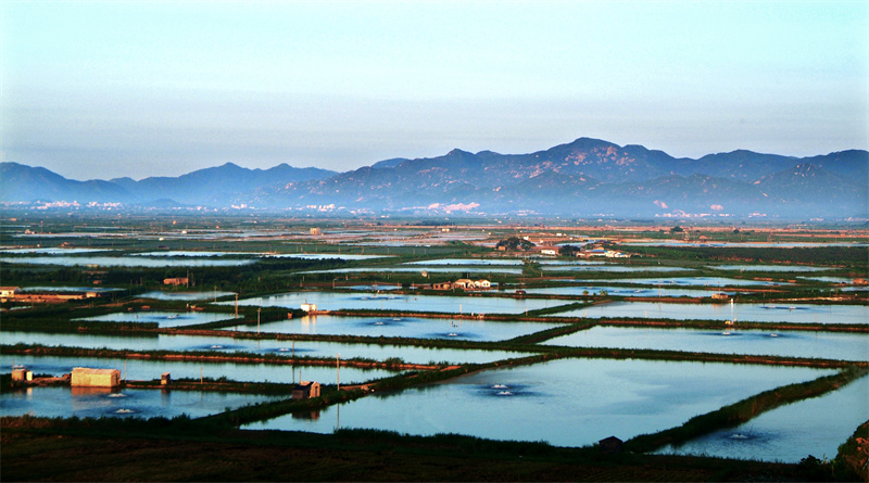 3-墩头村鳗鱼养殖场 （斗山镇规划办提供，摄于2005年）.jpg