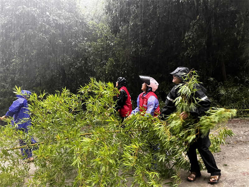13大洞村委会驻点领导与团队协力清理被台风吹倒的树木.jpg