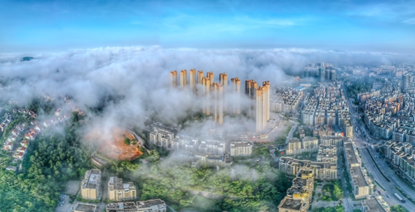8.阮光荣《生态美之城》作品拍于2022.3台城13672972899.jpg