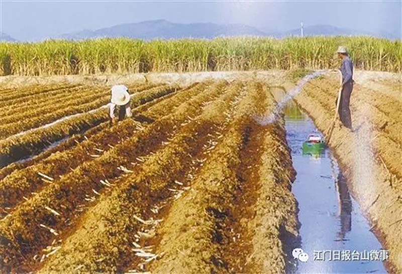 微信图片_20230905092636_6.jpg