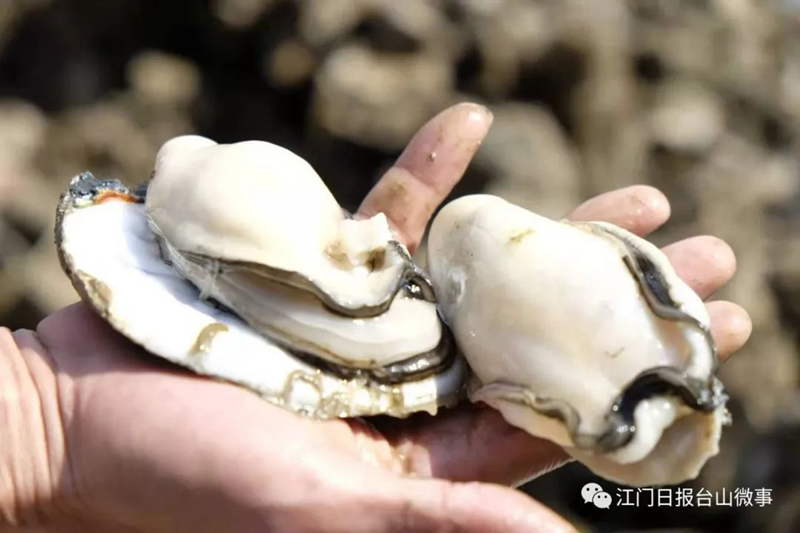 微信图片_20231225110813.png