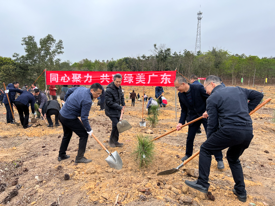 种植纪念林2.1.jpg