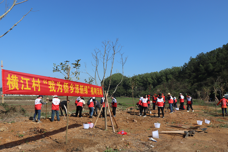 斗山镇横江村：以“绿美”之笔谱写乡村振兴新画卷_镇街动态_台山市人民政府门户网站