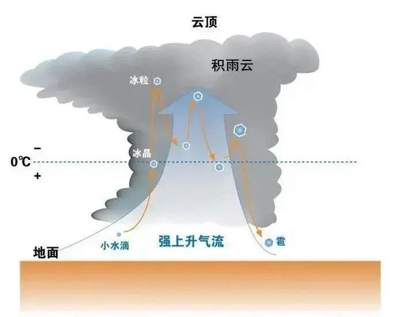 微信图片_20240624085331.jpg