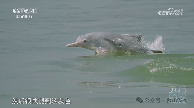 微信图片_20240722092534.png