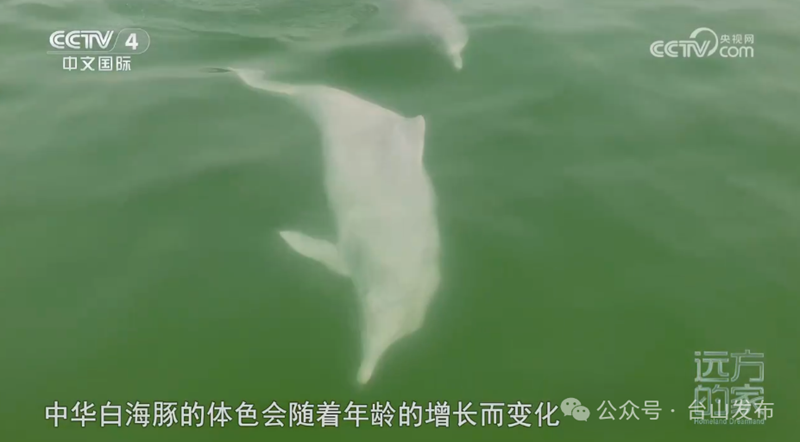 微信图片_20240722092529.png