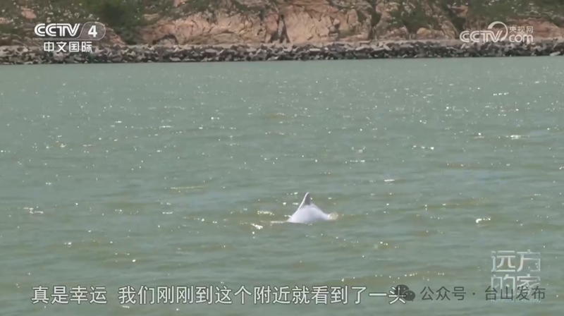 微信图片_20240722092522.png