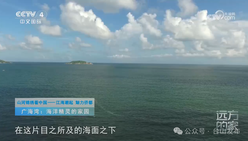 微信图片_20240722092516.png