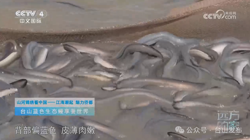 微信图片_20240722092509.png