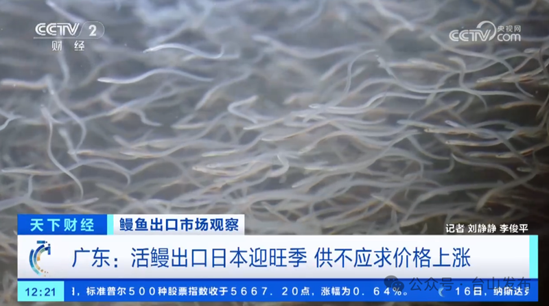微信图片_20240722092423.png