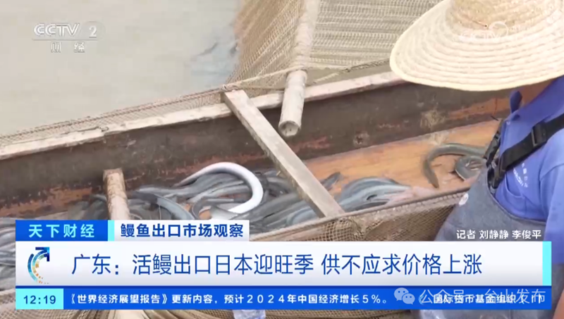 微信图片_20240722092408.png
