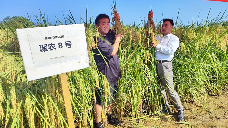 微信图片_20241029101059.jpg