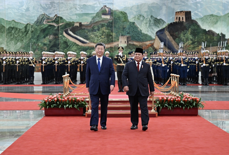 4520715.jpg