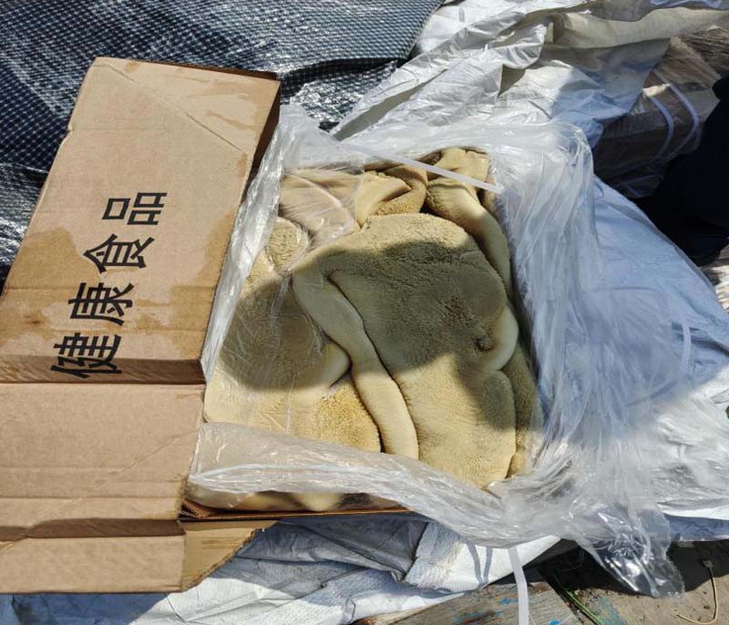 图片7.jpg
