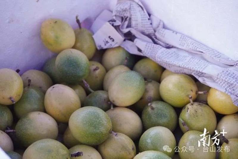微信图片_20241212094348.jpg