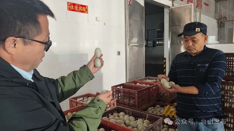 微信图片_20241231091204.jpg