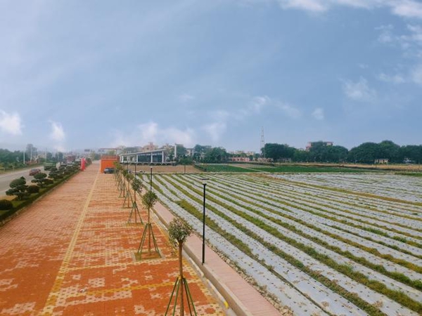 b06.jpg