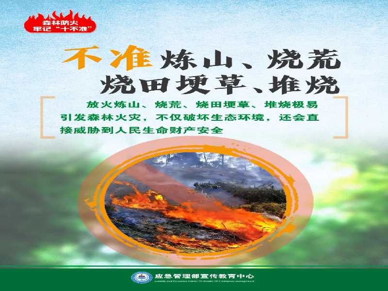 图片10.png