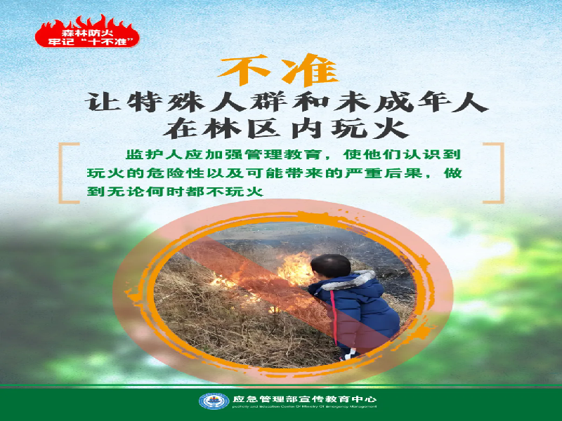 图片11.png