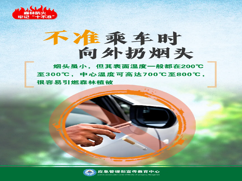 图片12.png