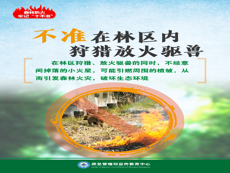 图片13.png