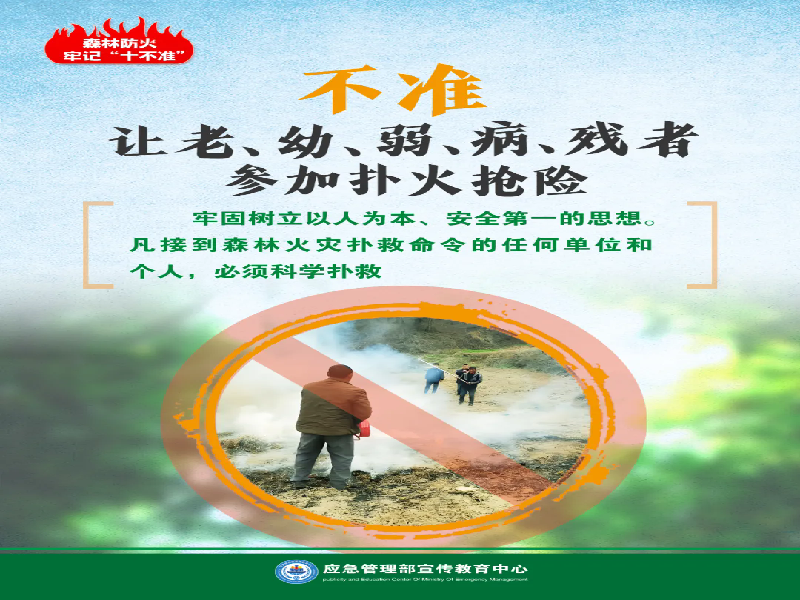 图片14.png