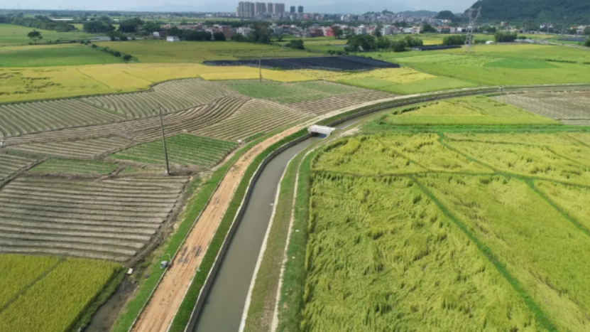 台山市入选全国2025年深化农业用水权改革市县名单186.png