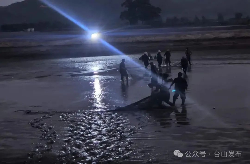 微信图片_20250602084117.jpg