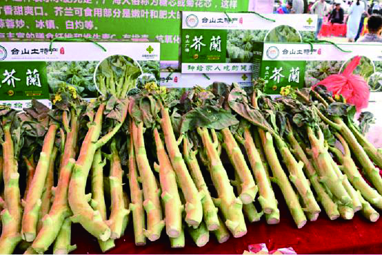 6.台山芥兰.jpg