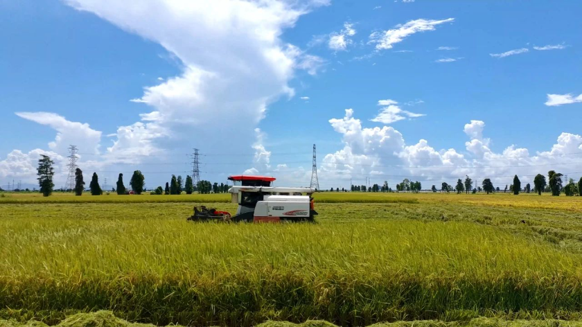 微信图片_20250714093927.jpg
