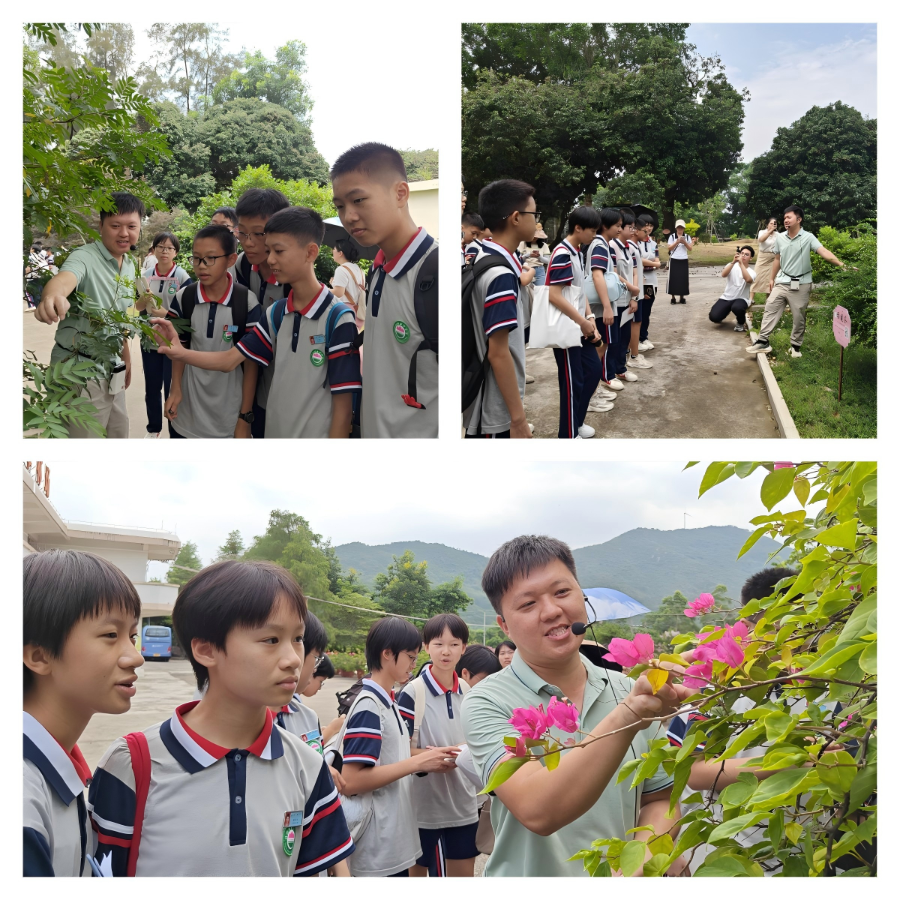 WPS拼图1.png