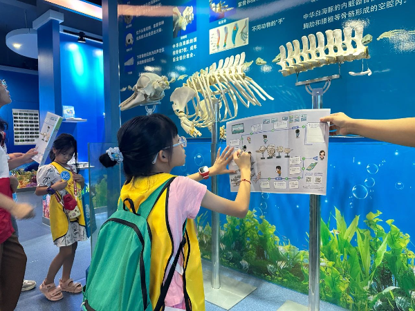 中华白海豚研学.jpg