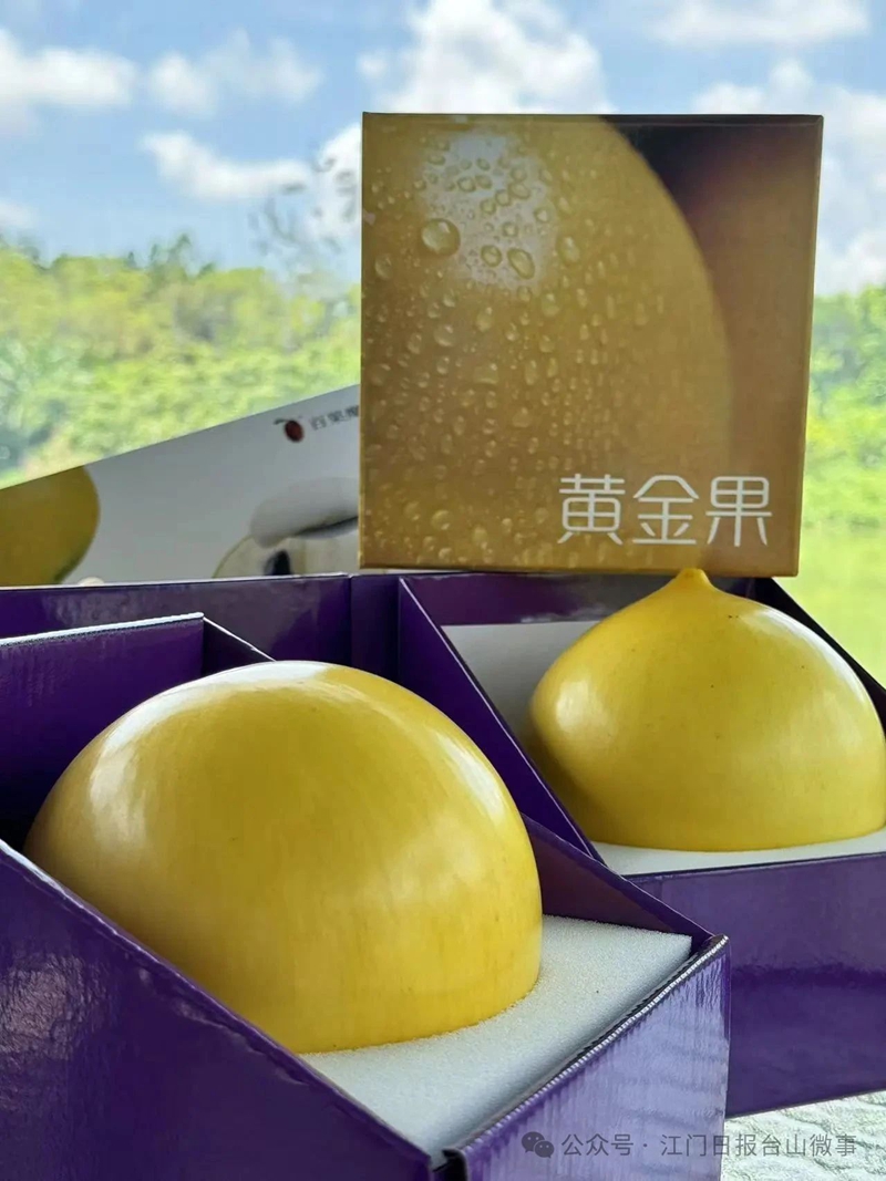 微信图片_20250812091609.jpg