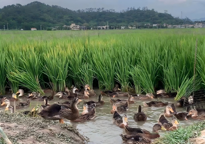 微信图片_20250814090135.png