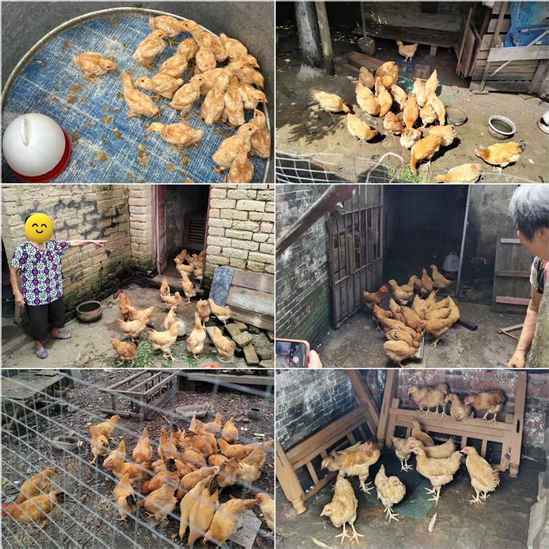 c14ee5f590706e346b2548dea746f1e6_副本.jpg