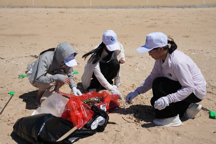 11111111图为青年志愿者在收拾海滩上的垃圾2.jpg