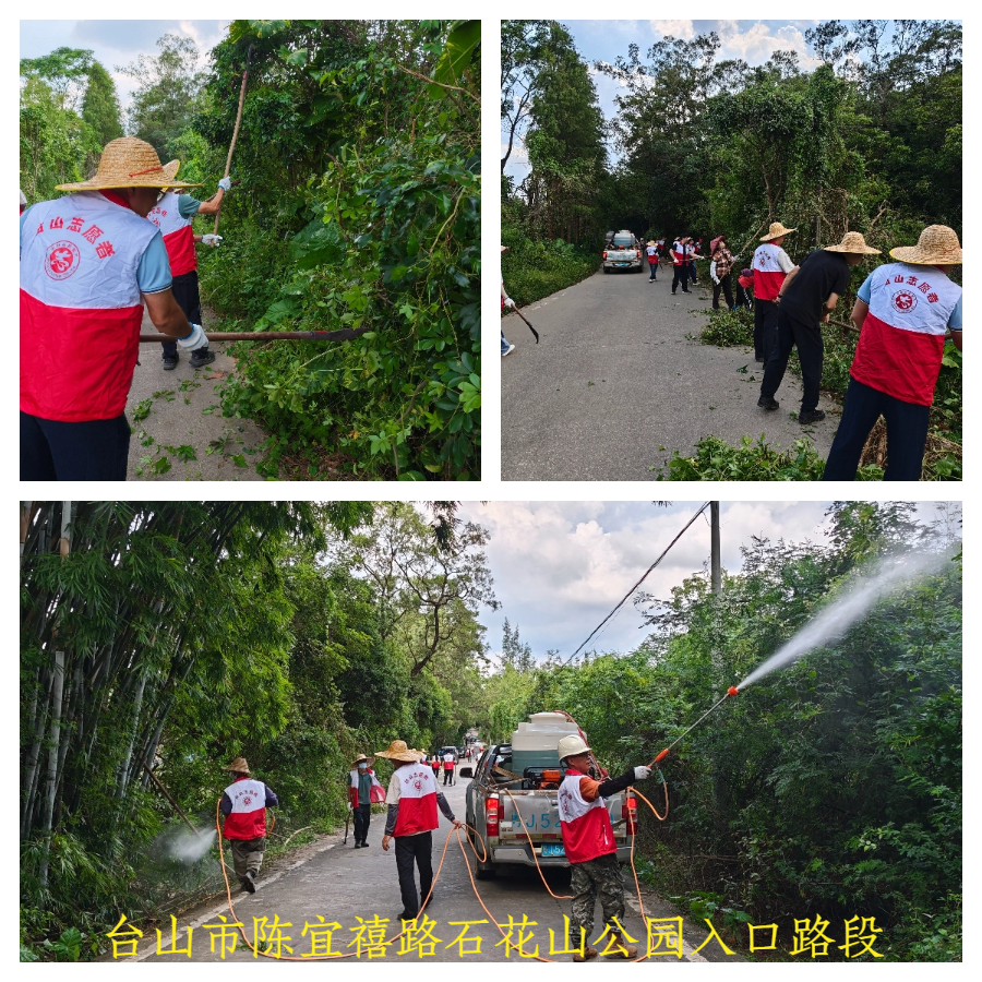 陈宜禧路.jpg