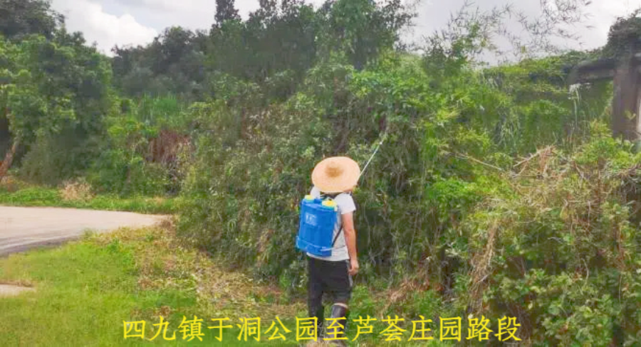 四九.jpg