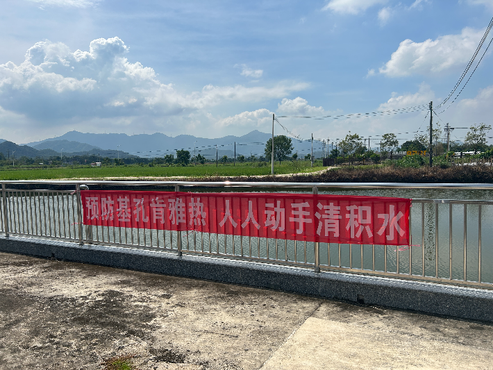已编辑图片