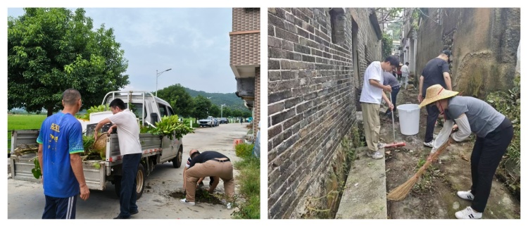 搞卫生.政府网1 (1).jpg